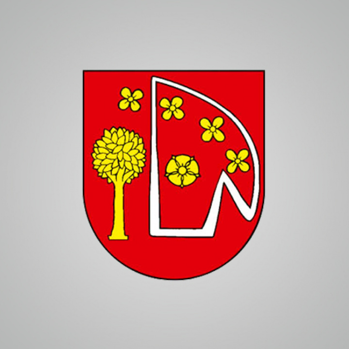 Obecná schôdza-Falugyűlés