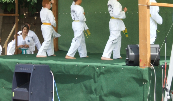 Taekwon-do